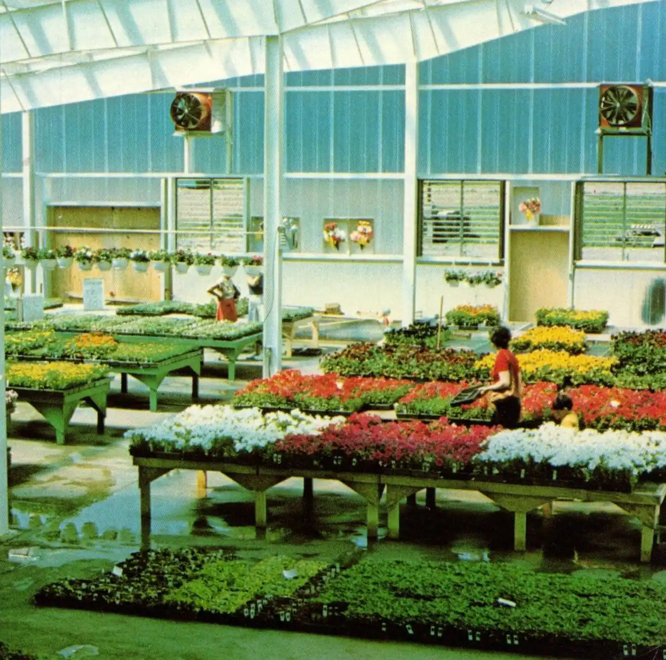 Historic Flower World Greenhouse at Leighty’s Farm Market