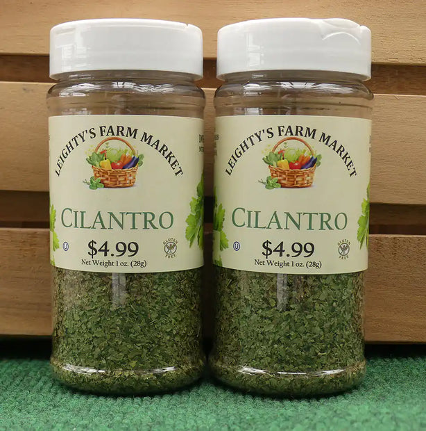 Cilantro