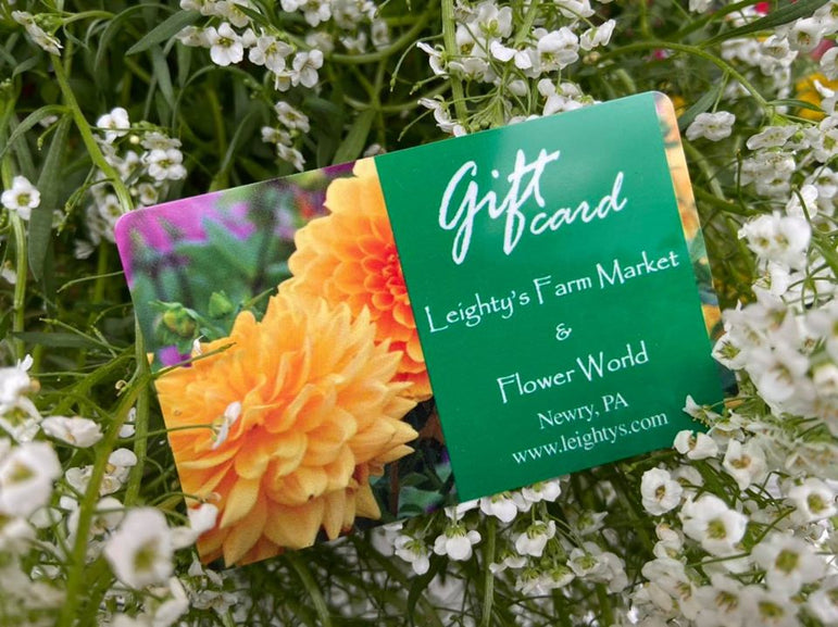 Physical Leighty's Farm Market Gift Card **For Physical Location Only, Not Useable Online**