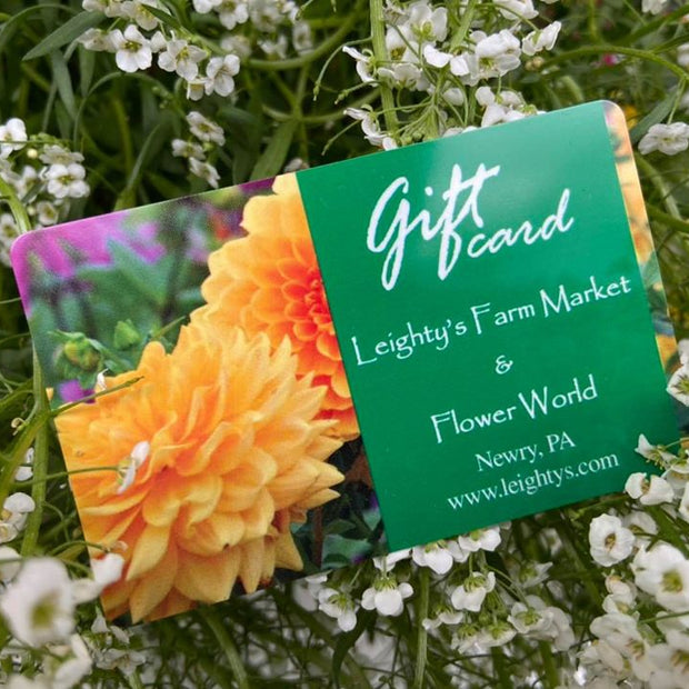Physical Leighty's Farm Market Gift Card **For Physical Location Only, Not Useable Online**
