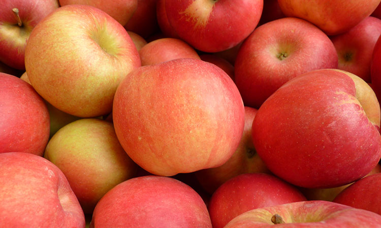 apple oțet vs varicoză