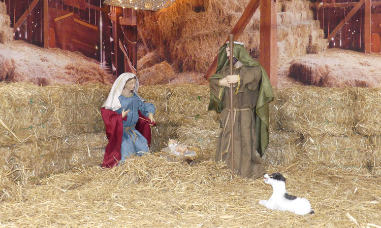 Nativity scene with straw