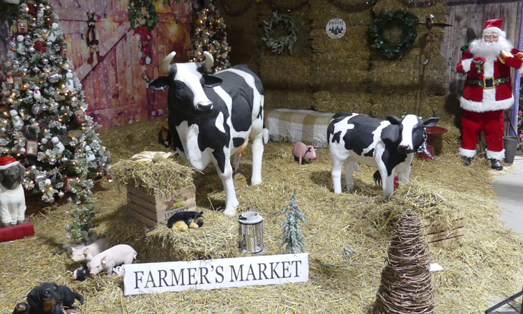 farm scene with cows and santa