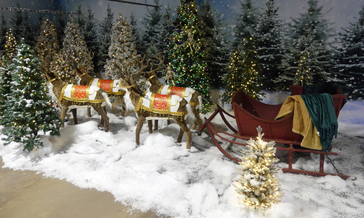 reindeer and sleigha among a winter scene