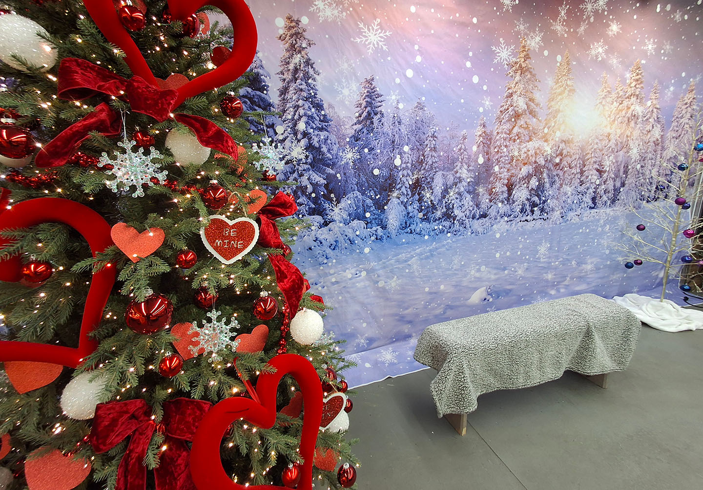 Christmas Tree and Decorations